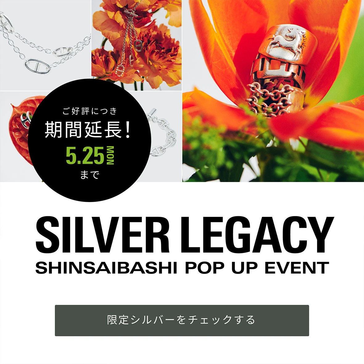 刺さない痛バオーダー ALLU 中古ブランド品・ブランド古着通販｜ALLU（アリュー）