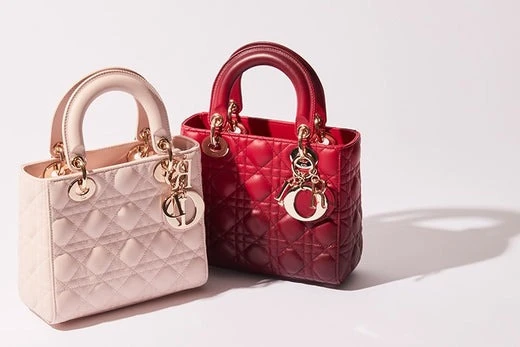 ブラウン（茶色）系 Dior LADY DIOR(ディオール レディ