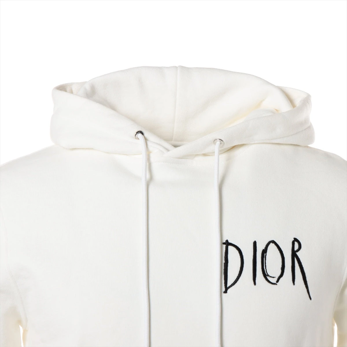 正規 19AW DIOR × Raymond Pettibon ディオール レイモンド