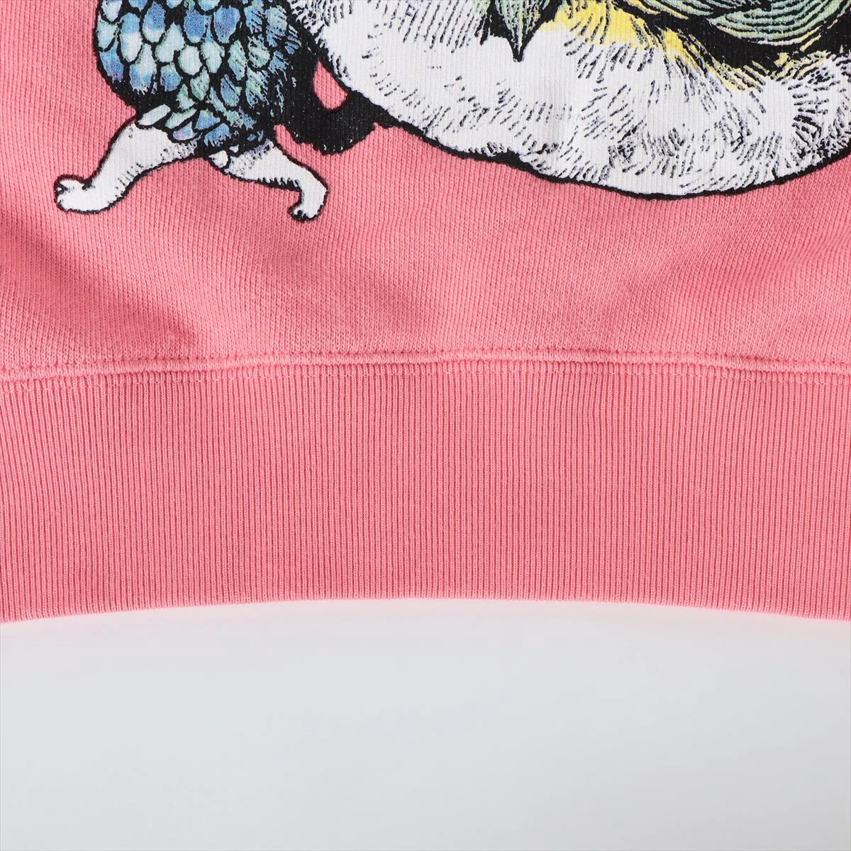 グッチ×ヒグチユウコ コットン パーカー M メンズ ピンク 646953