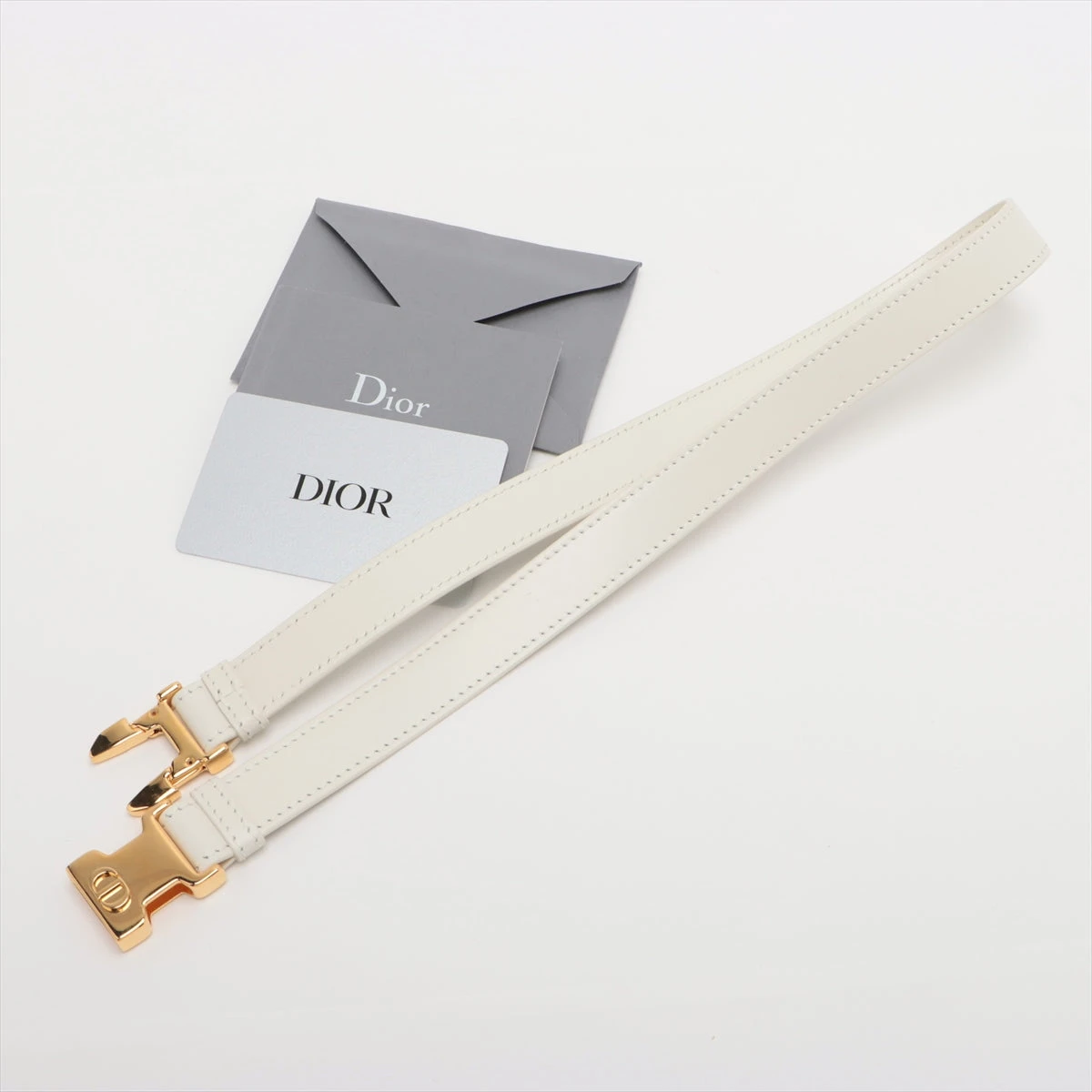 DIOR☆スモール カーフレザー ノマドポーチ ハンドバッグ AUTH CHRISTIAN DIOR NOMAD POUCH SMALL HANDBAG CANNAGE