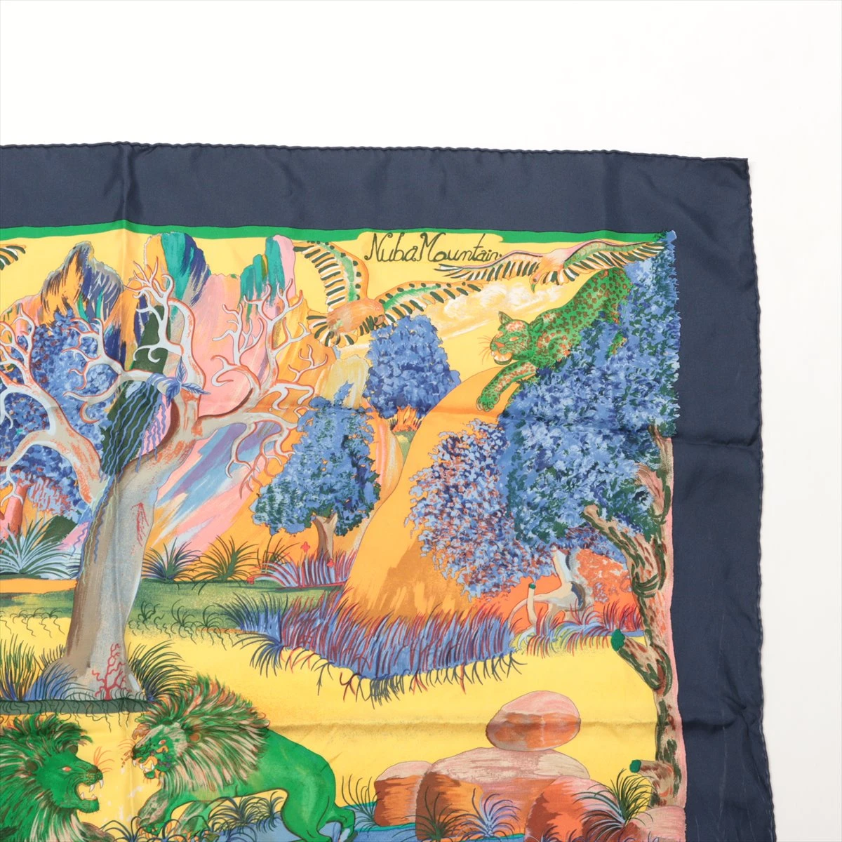 Hermes Scarf 