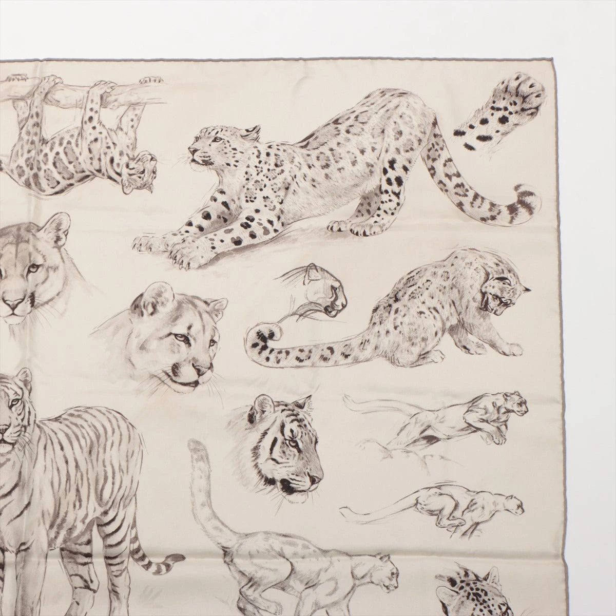 Hermes Scarf 