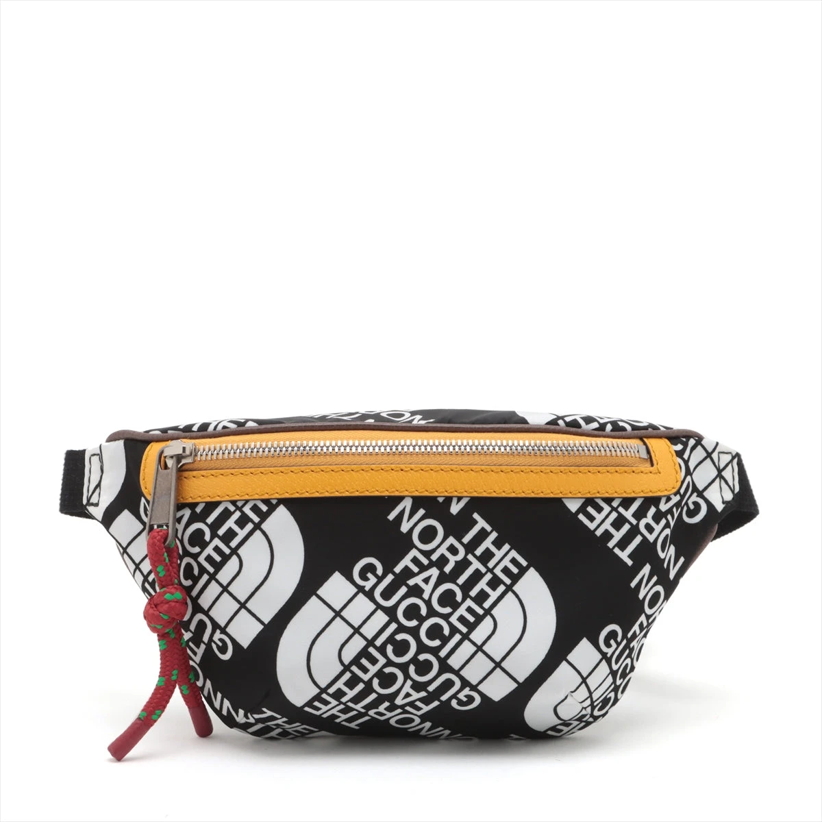 THE NORTH FACE x GUCCI ポーチ GUCCI （新品・未使用品）グッチ THE NORTH FACE x ノース