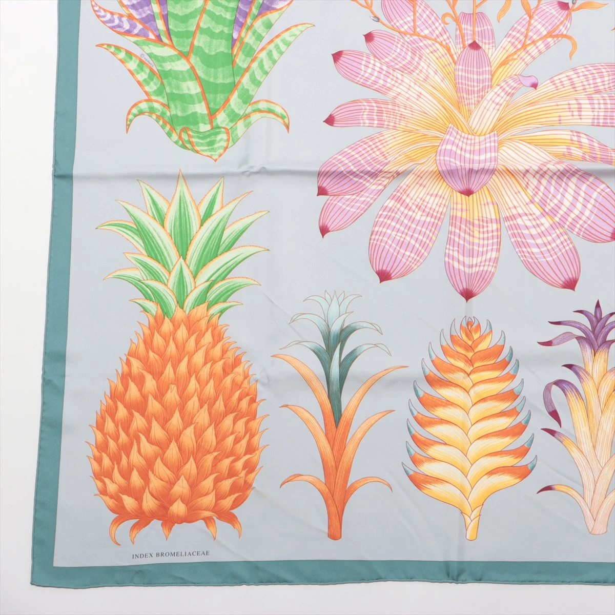 エルメス カレ90 INDEX BROMELIACEAE ブロメリアの目録 スカーフ