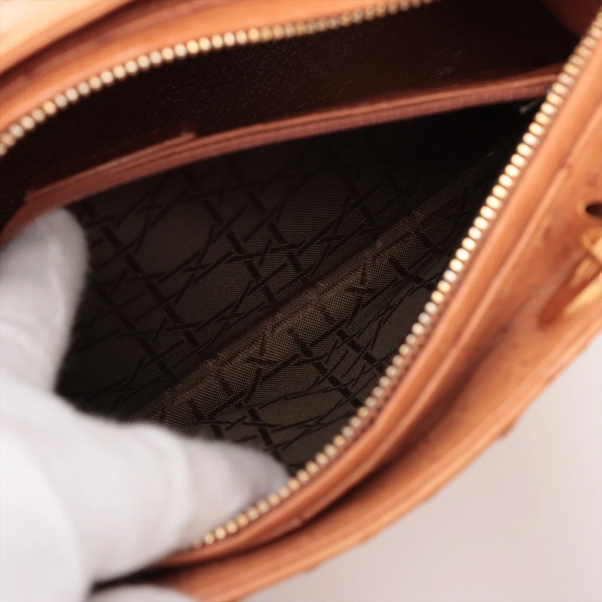 クリスチャンディオール レディディオール オーストリッチ 2WAY