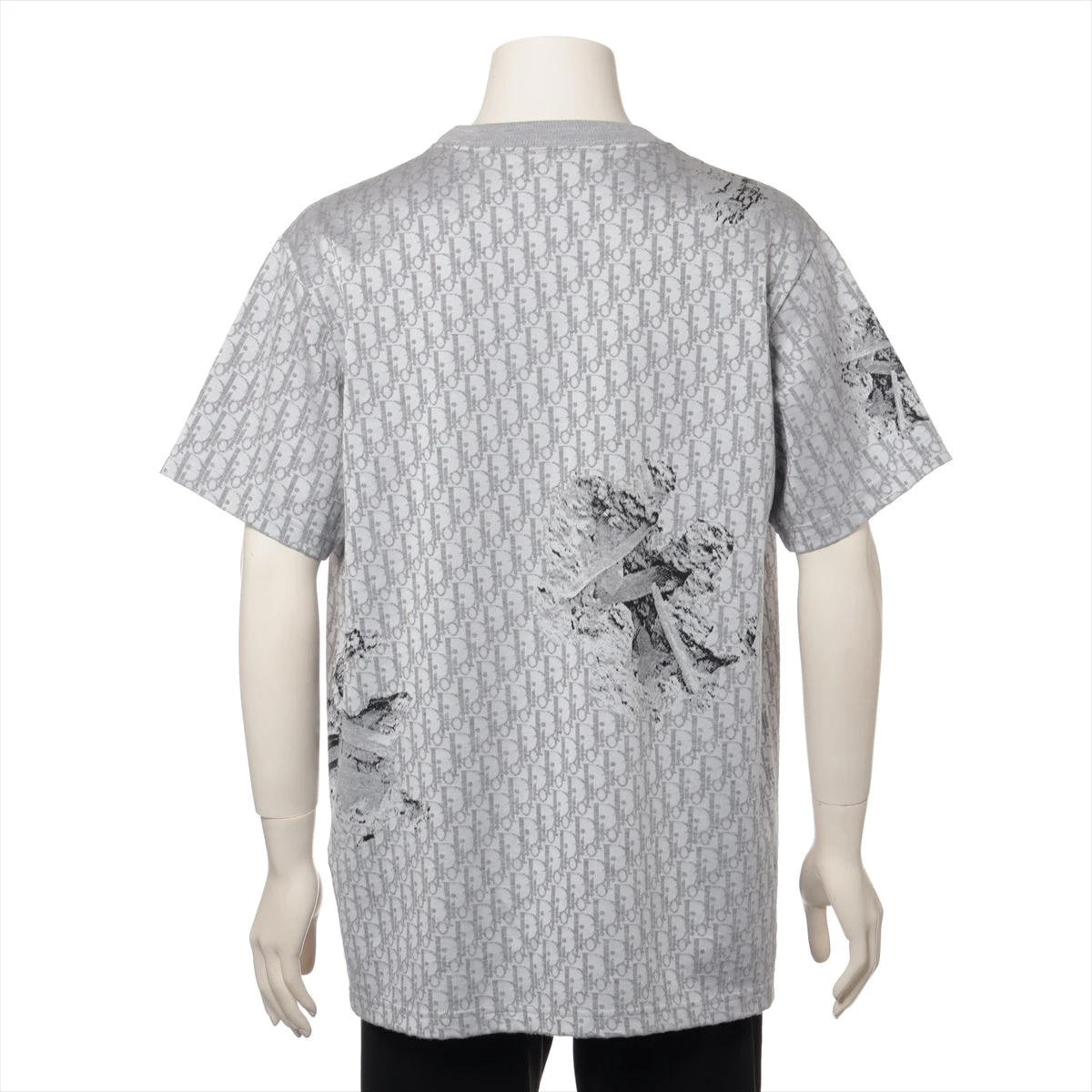 Dior Daniel Arsham コラボ　プリント Tシャツ グレー Dior Daniel Arsham コラボ プリント Tシャツ グレー - メルカリ