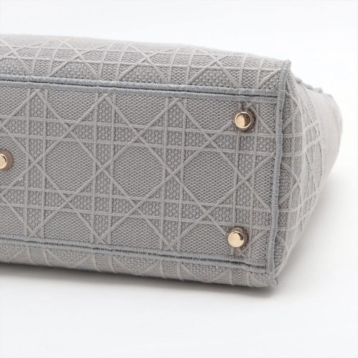 クリスチャンディオール レディディーライト ラージ キャンバス