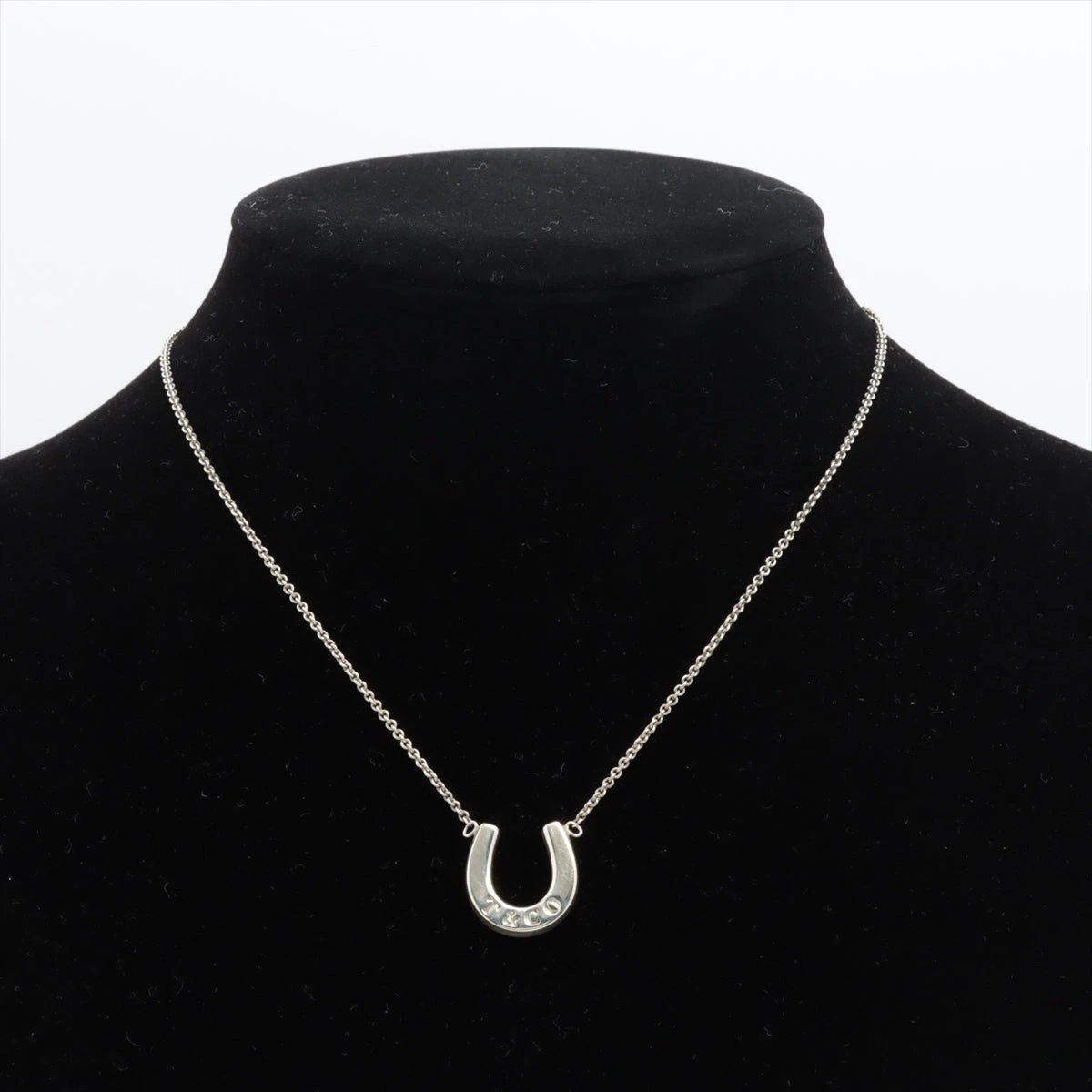 c018 ティファニー　希少　レア　ホースシュー　ネックレス　シルバー　925 TIFFANY&Co. TIFFANY & Co. ティファニー ホースシュー