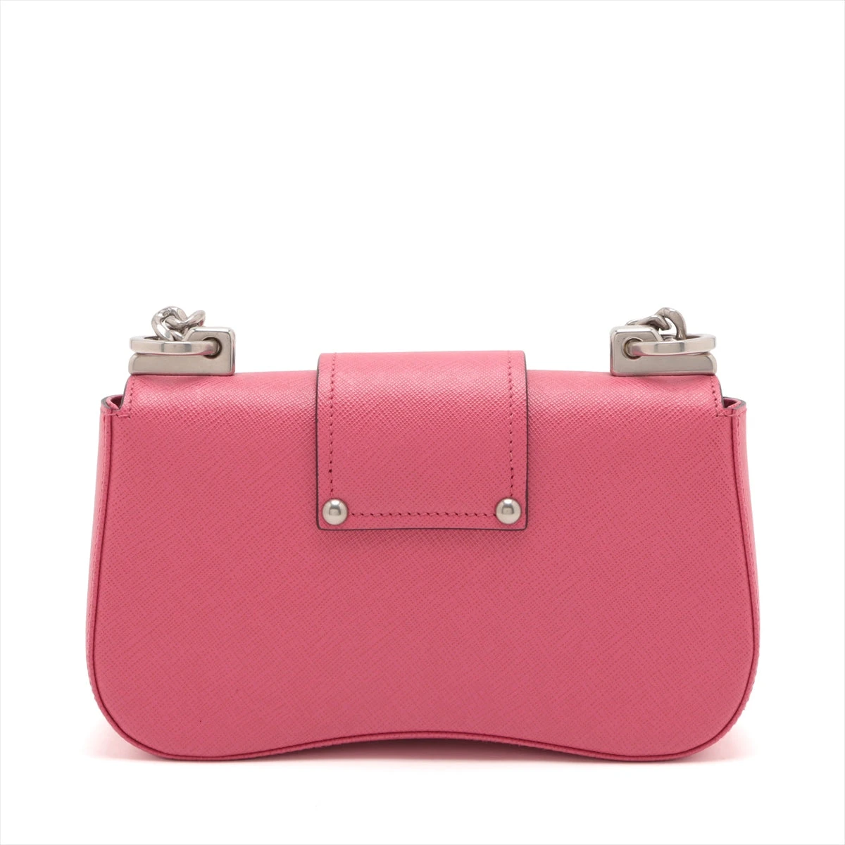 ショルダーバックを下げたプラチナフォックスさん プラダ ショルダーバッグ レディース TESSUTO SPAZZOLATO