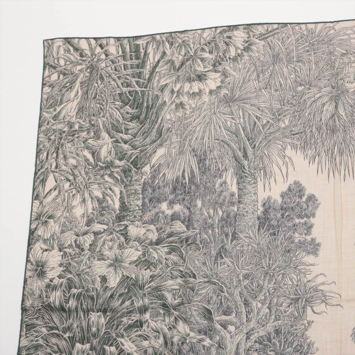 エルメス カレジェアン BOTANICO DI PALERMO パレルモの植物園 エルメス カレジェアン BOTANICO DI PALERMO パレルモの植物園にて